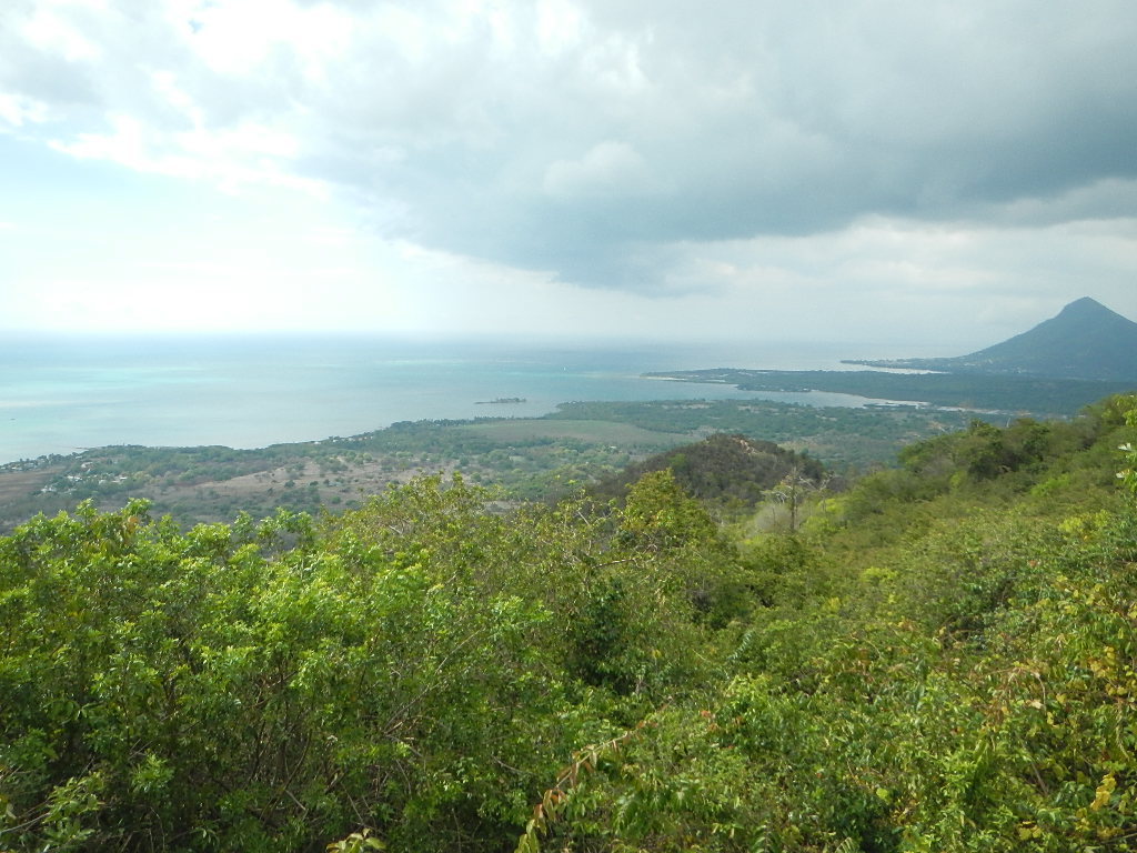 DSCN0176