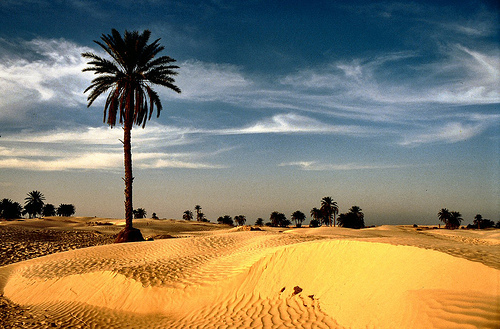 Пески Сахары (Sand dunes of the Sahara)2